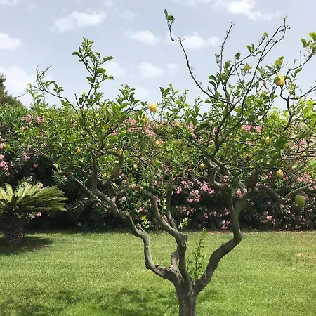 Casa vacanze Emerald Village